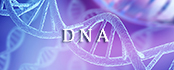 DNAとメンタル